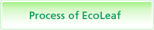 Process of EcoLeaf